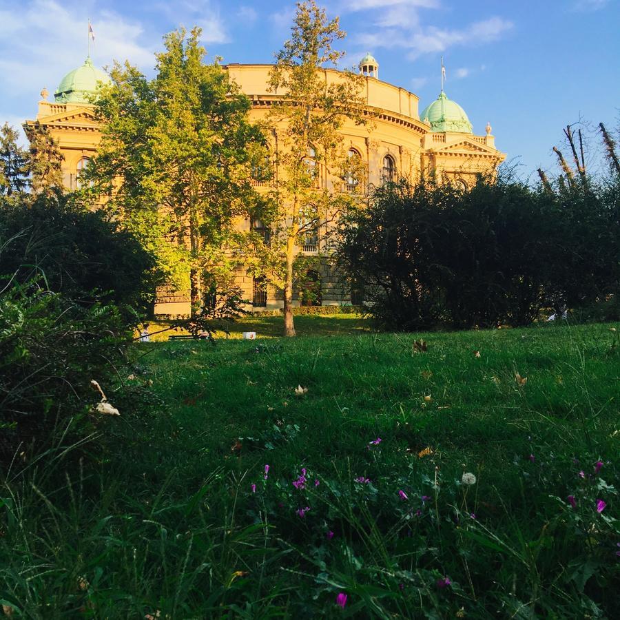 Sunrise Apartment Belgrad Zewnętrze zdjęcie